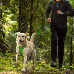 Ruffwear Front Range Dog Leash - TUMALO TEAL - Shopivet.com