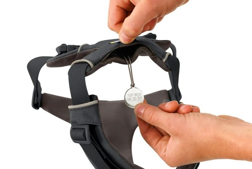 Ruffwear Front Range Padded Dog Harness - Basalt Gray Large/X - Large - Shopivet.com