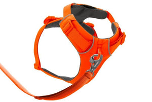 Ruffwear Front Range Padded Dog Harness - Blaze Orange Large/X - Large - Shopivet.com