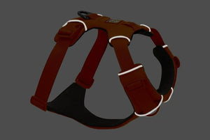 Ruffwear Front Range Padded Dog Harness - Blaze Orange Small - Shopivet.com