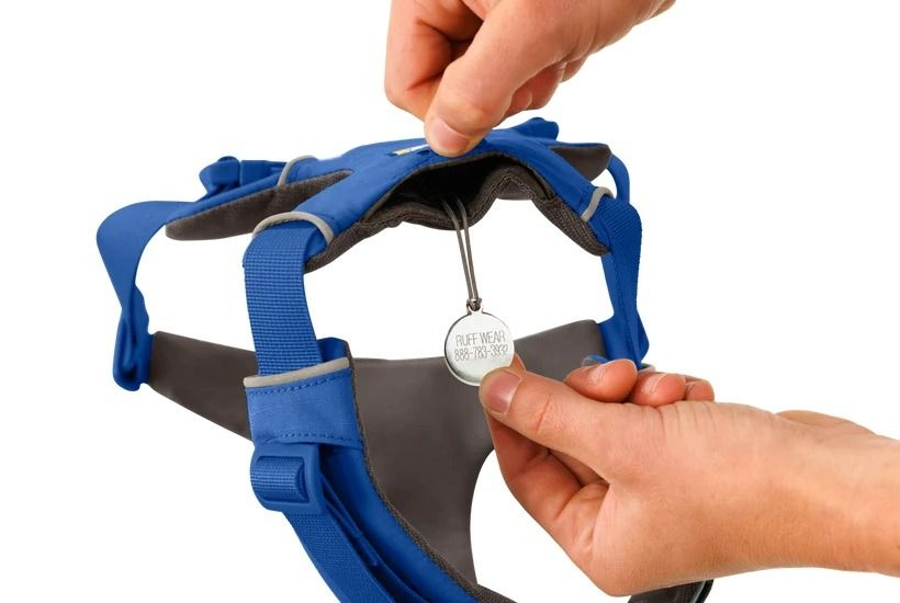 Ruffwear Front Range Padded Dog Harness - Blue Pool XX - Small - Shopivet.com
