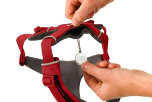 Ruffwear Front Range Padded Dog Harness - Red Canyon Large/X - Large - Shopivet.com