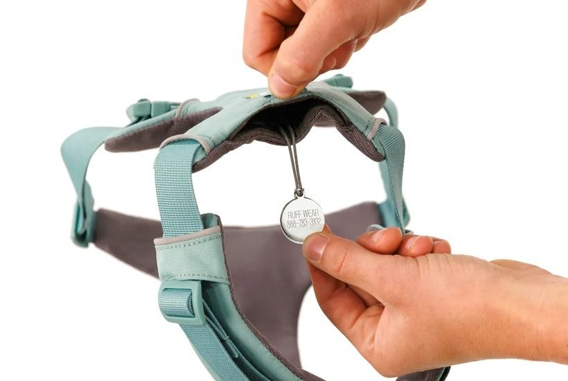 Ruffwear Front Range Padded Dog Harness - River Rock Large/X - Large - Shopivet.com