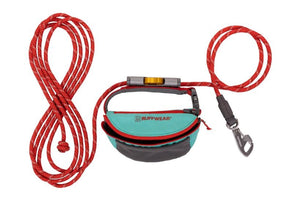 Ruffwear Hitch Hiker Dog Portable Hitch & Leash Combo - Aurora Teal - Shopivet.com