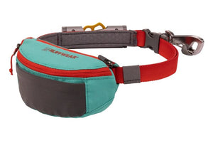 Ruffwear Hitch Hiker Dog Portable Hitch & Leash Combo - Aurora Teal - Shopivet.com