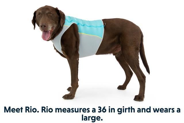 Ruffwear Jet Stream Dog Cooling Vest - BLUE Large - Shopivet.com