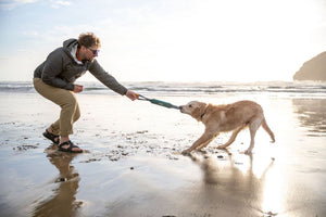 Ruffwear Pacific Loop Tug & Fetch Dog Toy - Aurora Teal - Shopivet.com