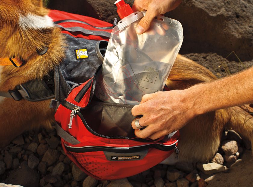 Ruffwear Palisades Multi - Day Dog Backpack - L/X - L - Shopivet.com