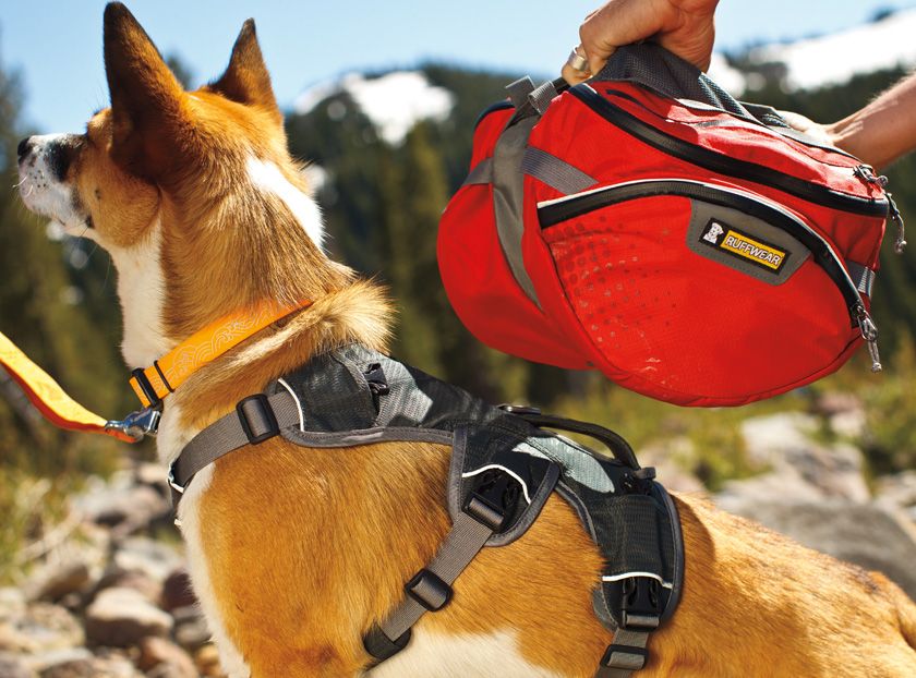 Ruffwear Palisades Multi - Day Dog Backpack - S - Shopivet.com