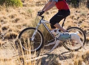 Ruffwear Singletrak Hydration Pack with Built - In Dog Harness - L/X - L - Shopivet.com