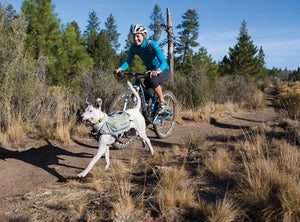 Ruffwear Singletrak Hydration Pack with Built - In Dog Harness - S - Shopivet.com
