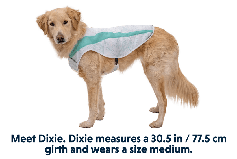Ruffwear Swamp Cooler Cooling Dog Vest - Graphite Gray Large - Shopivet.com