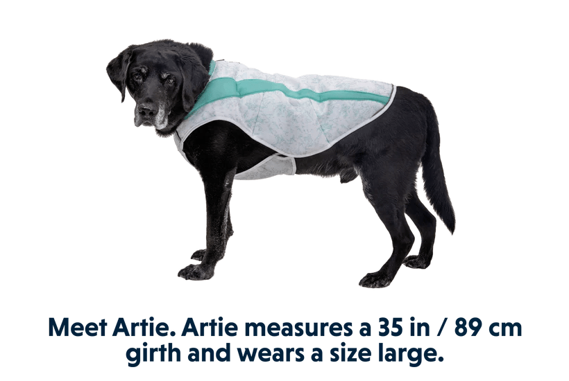 Ruffwear Swamp Cooler Cooling Dog Vest - Graphite Gray X - Small - Shopivet.com