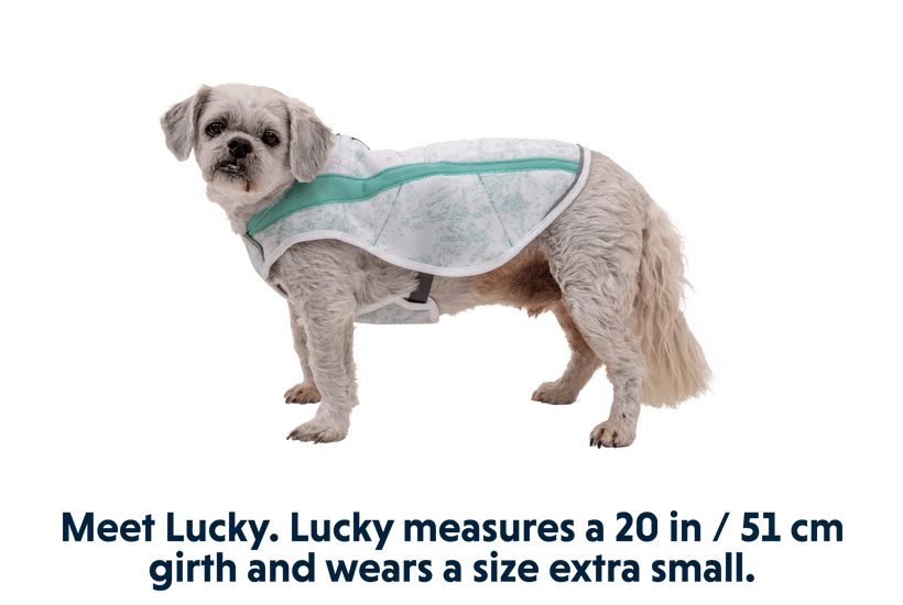 Ruffwear Swamp Cooler Cooling Dog Vest - GREY Large - Shopivet.com