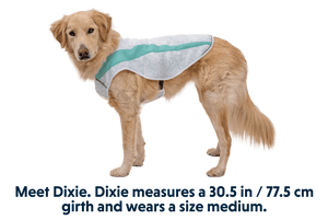 Ruffwear Swamp Cooler Cooling Dog Vest - GREY X - Large - Shopivet.com