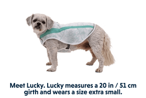 Ruffwear Swamp Cooler Cooling Dog Vest - PURPLE Medium - Shopivet.com