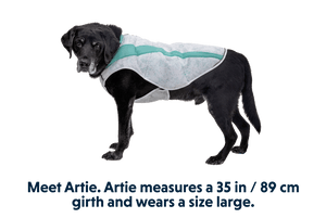 Ruffwear Swamp Cooler Cooling Dog Vest - PURPLE Small - Shopivet.com