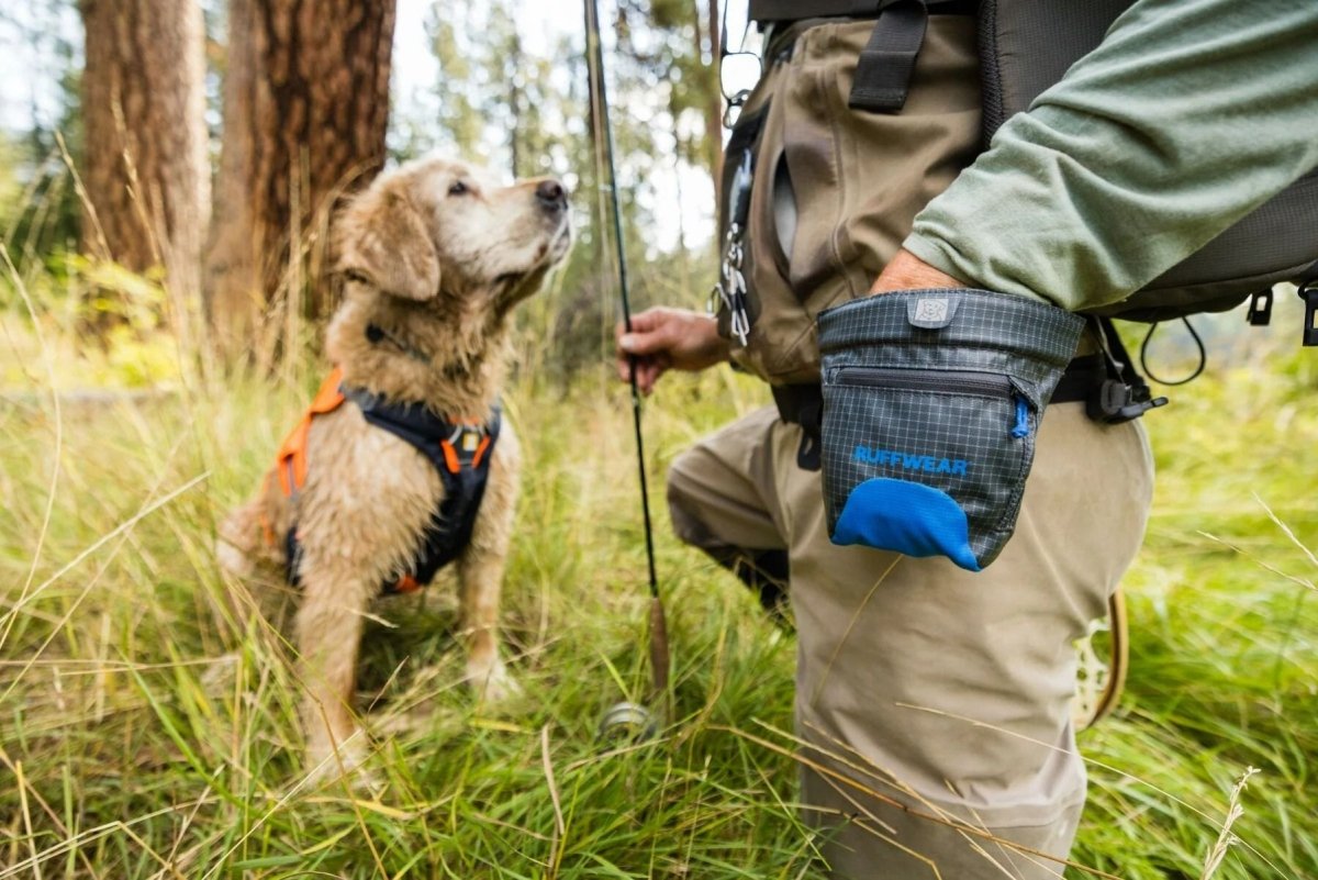 Ruffwear Waist - Worn Treat Trader Dog Treats Pouch - Blue Pool - Shopivet.com