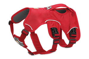 Ruffwear WebMaster Dog Harness - BLUE L/XL - Shopivet.com