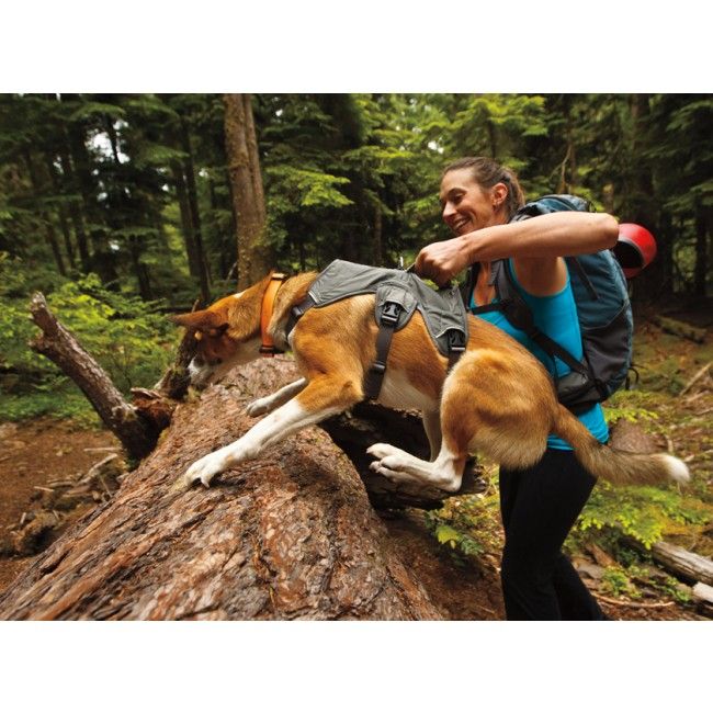 Ruffwear WebMaster Dog Harness - GREY L/XL - Shopivet.com