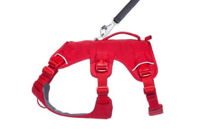 Ruffwear WebMaster Dog Harness - Red Canyon Large/X - Large - Shopivet.com