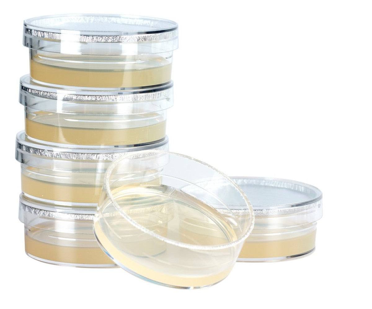 Sabaraud Agar Test, 6 pcs