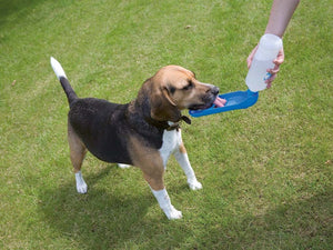 Savic Aqua Boy Dog Water Dispenser - 500ML - Shopivet.com