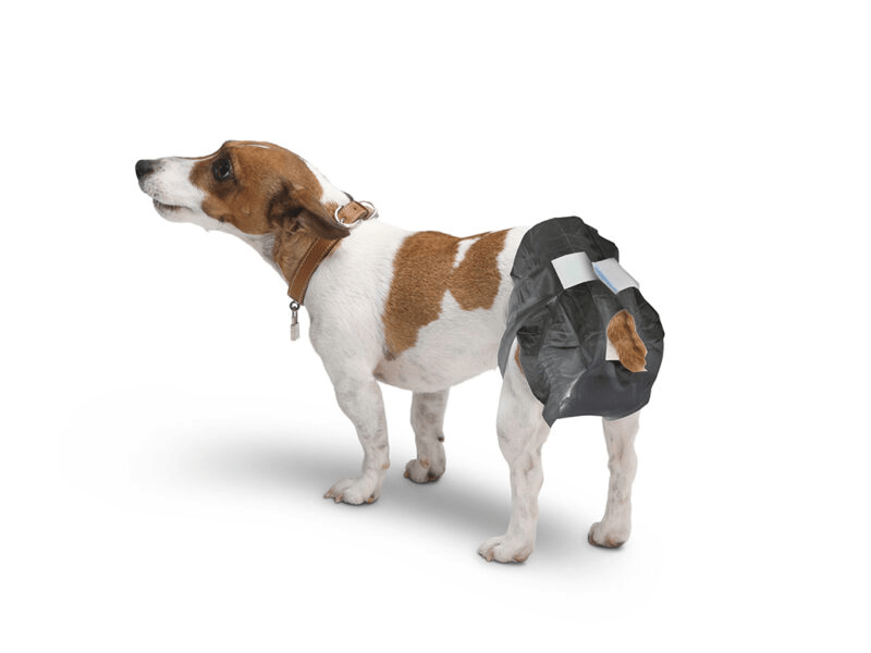 Savic Comfort Nappy Disposable Dog Diaper - SIZE 3 - Shopivet.com