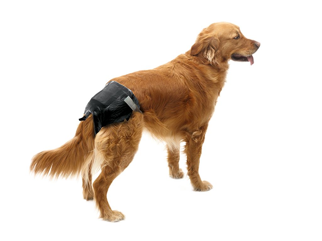 Savic Comfort Nappy Disposable Dog Diaper - SIZE 6 - Shopivet.com