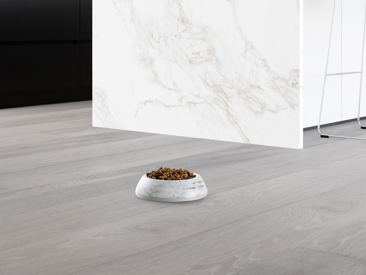 Savic Delice Cat Bowl Marble - Black/Gold 0.2l - Shopivet.com