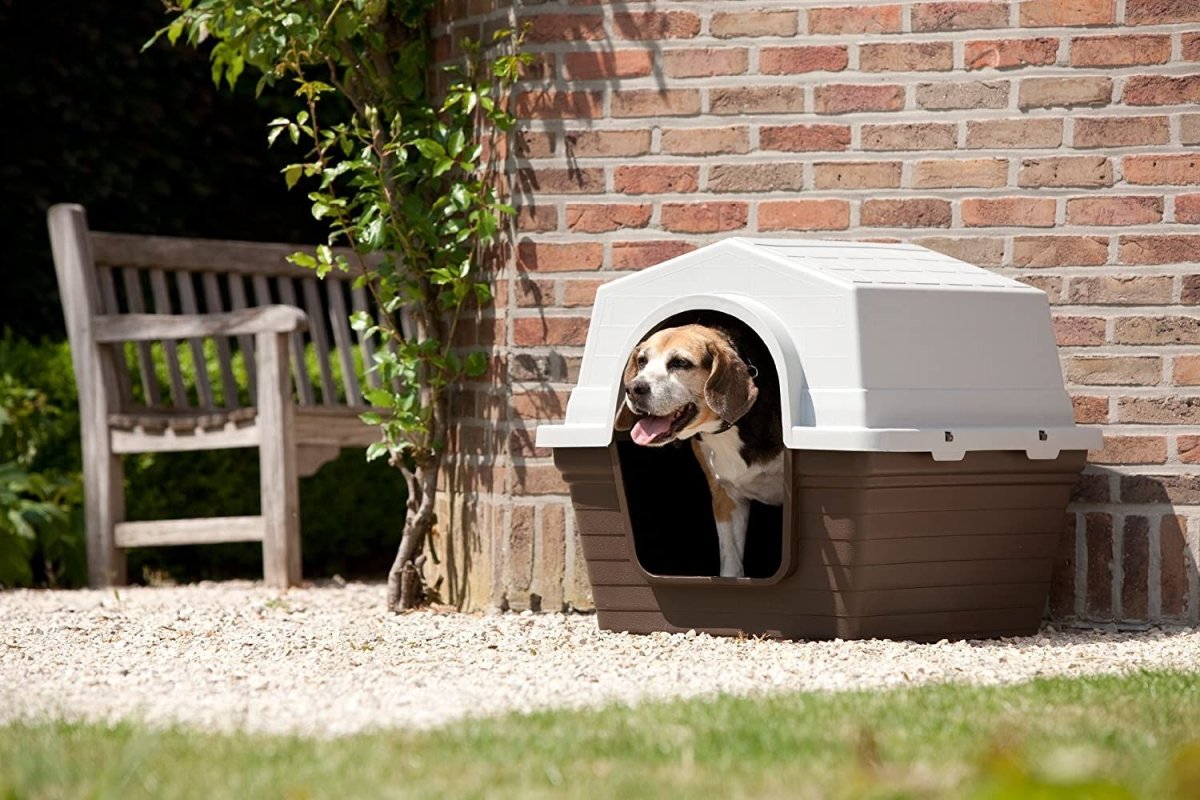 Savic Dog Home - Small - Shopivet.com
