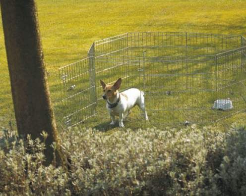 Savic Dog Park Dog Play Pen - 1 (61X61CM) - Shopivet.com
