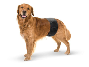 Savic Male Nappy Disposable Dog Diapers 12pcs - Large - Shopivet.com