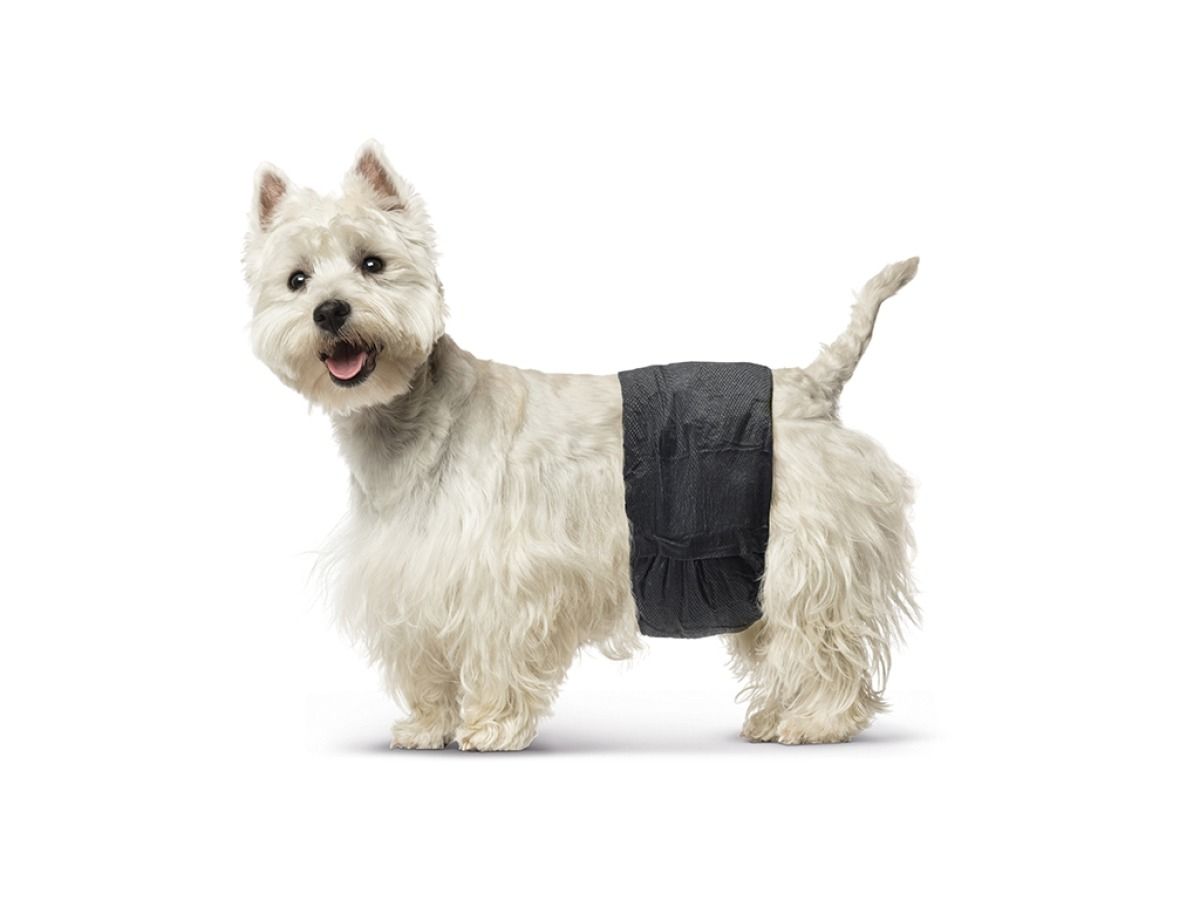 Savic Male Nappy Disposable Dog Diapers 12pcs - Small - Shopivet.com