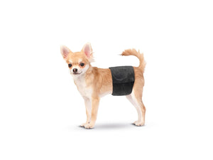 Savic Male Nappy Disposable Dog Diapers 12pcs - X - Small - Shopivet.com