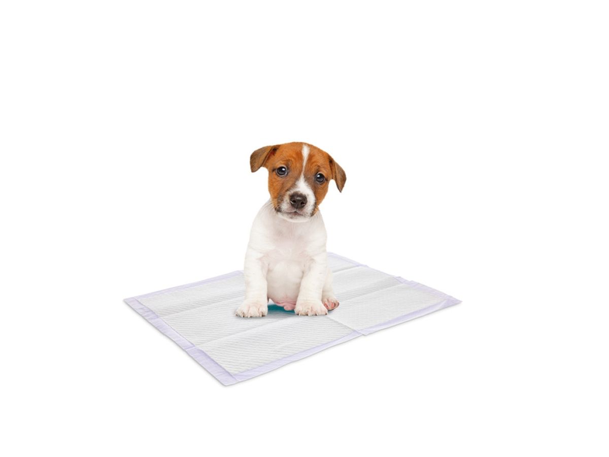 Savic Puppy Trainer Lavender Puppy Training Pads Medium 30pcs - Medium - Shopivet.com