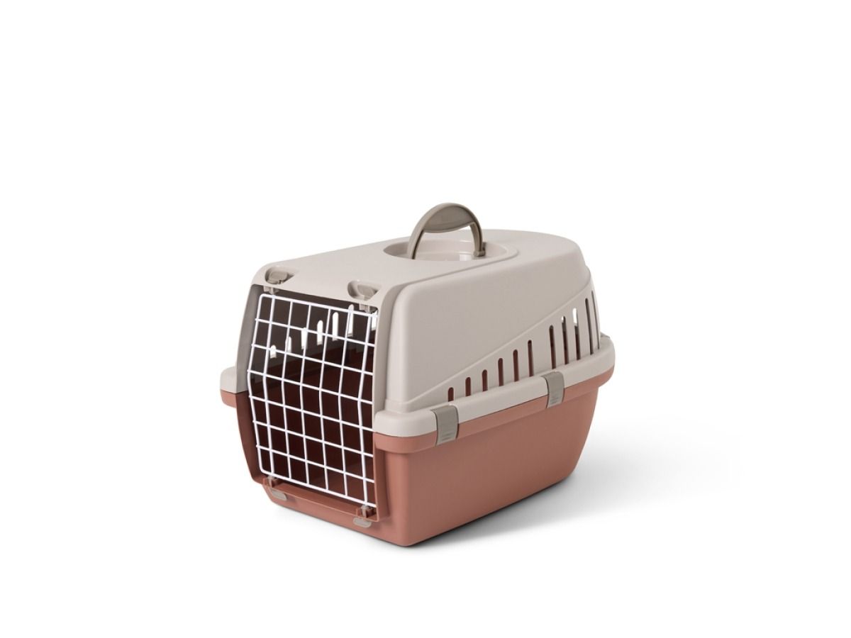 Savic Trotter Pet Transport Box - Pink/Red 1 - Shopivet.com