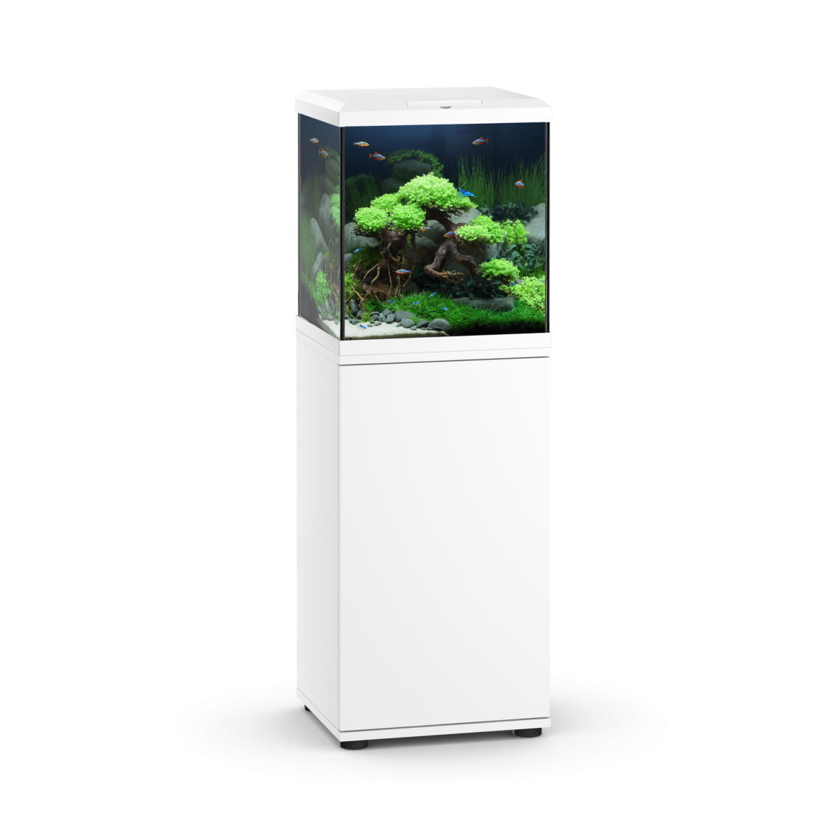 SBX Vio Cube 54 White