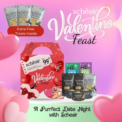 Schesir After Dark Valentine Feast'25 Gift Pack For Cats - Shopivet.com