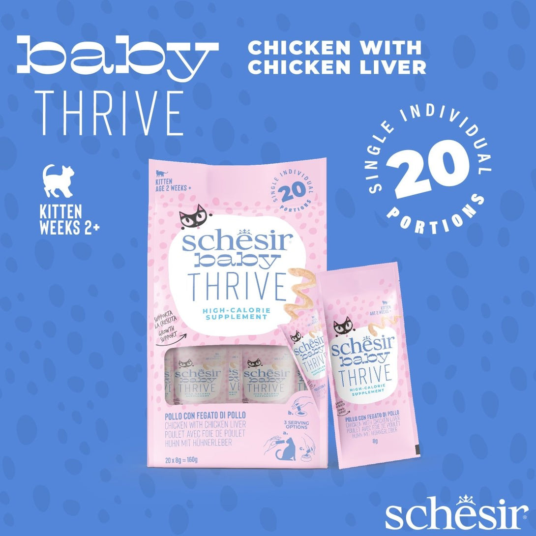 Schesir Baby Thrive Mousse Kitten - Chicken 160g (20x8g) - Shopivet.com