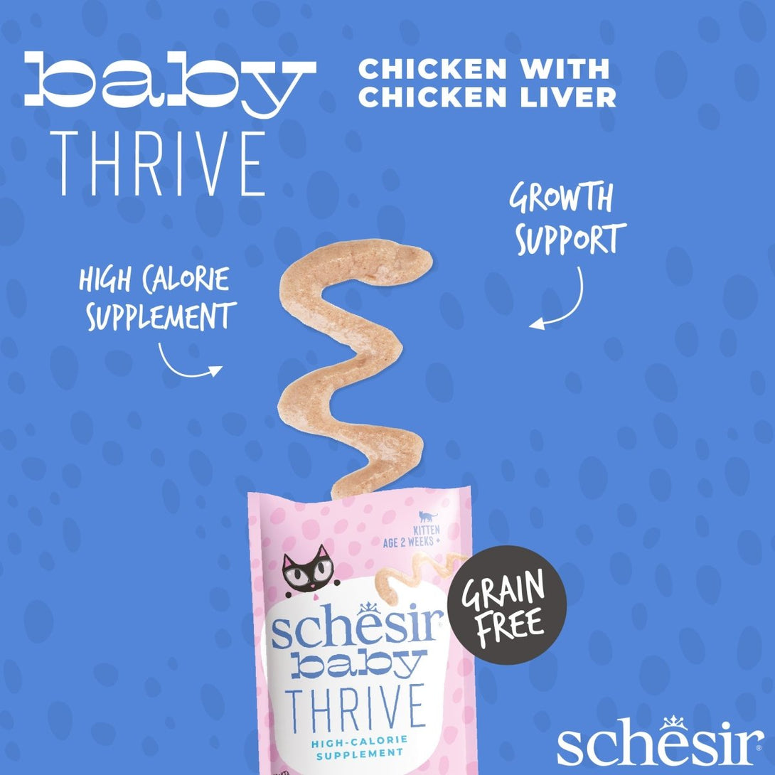 Schesir Baby Thrive Mousse Kitten - Chicken 160g (20x8g) - Shopivet.com