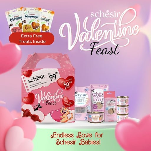 Schesir Baby Valentine Feast'25 Gift Pack For Kitten - Shopivet.com