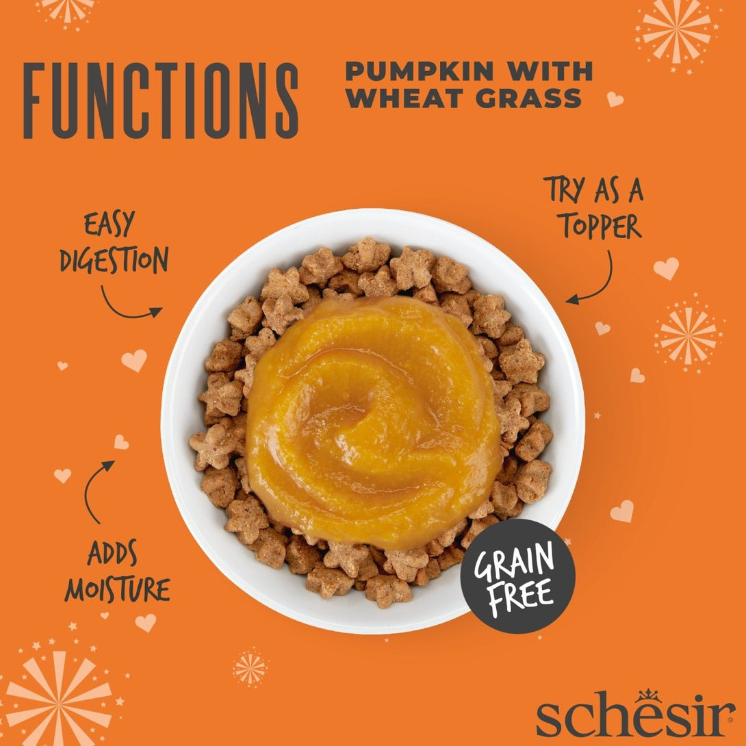 Schesir Functions Cat Pouch Digestive Topper Pumpkin With Wheat Grass 40g - Shopivet.com