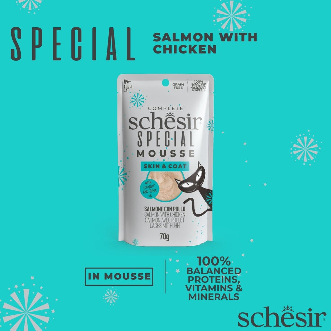 Schesir Special Mousse (Skin & Coat) For Cat - Salmon With Chicken 70g - Shopivet.com