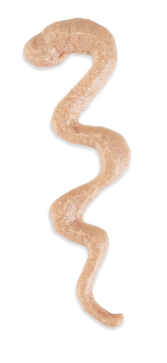 Schesir Stix Treat For Cat In Cream 6x15g - Shopivet.com