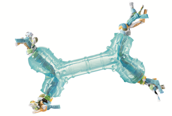 Hunter Chewing Bone Dog Toy - BLUE