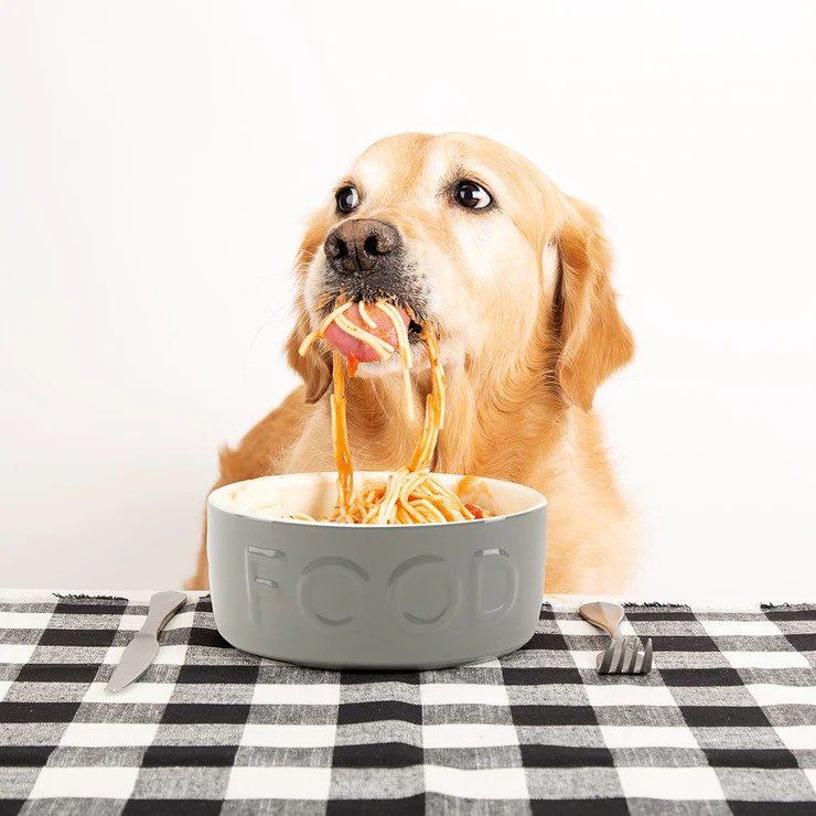 Scruffs Classic Food Dog Bowl - GREY 19CM - Shopivet.com