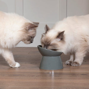 Scruffs Classic Raised Feeder Cat Bowl - Grey 12cm - Shopivet.com