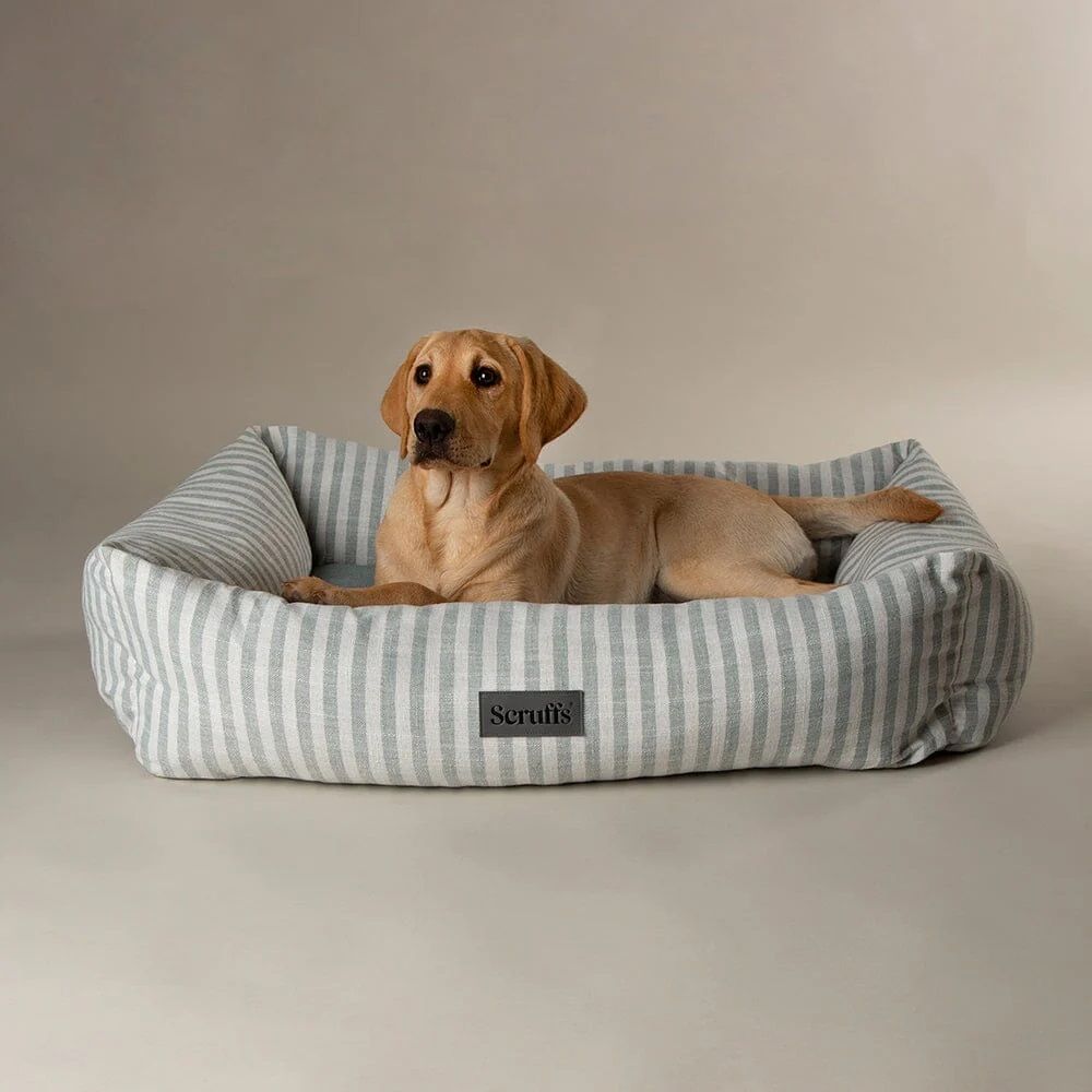 Scruffs Coastal Box Dog Bed - Green Medium - Shopivet.com