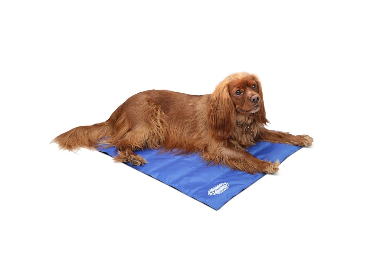 Scruffs Cool Dog Mat - Medium - Shopivet.com